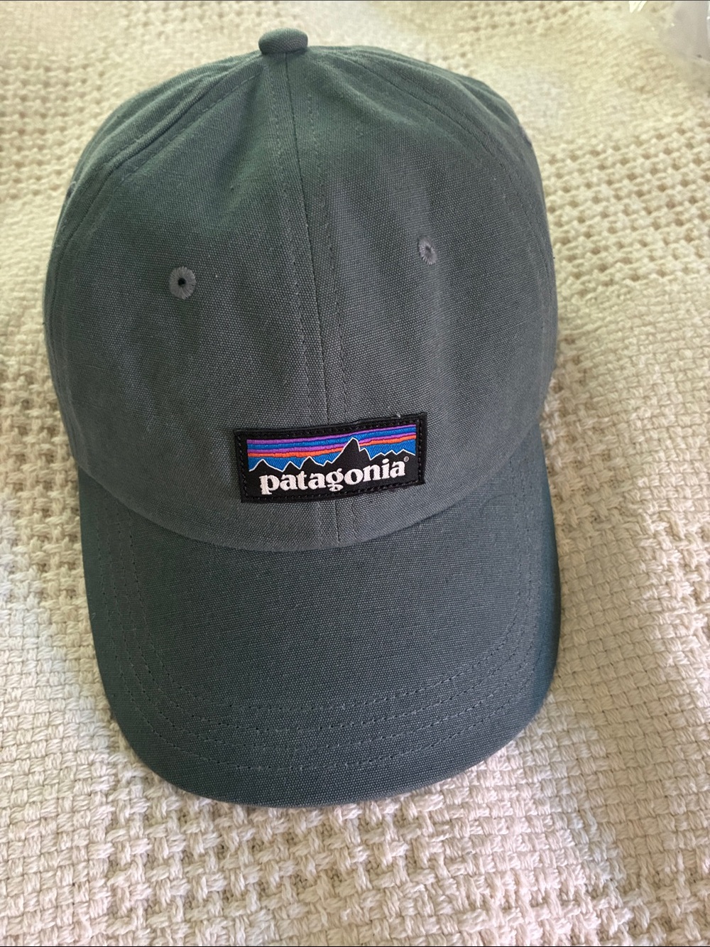 NWOT Patagonia P6 Label Trad organic cotton baseball cap.